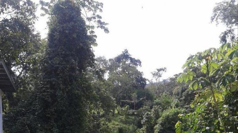 Autoridades investigan las causas de la contaminación del río Tolé