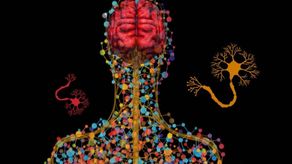 Demuestran seguridad de la terapia génica en enfermedades neurodegenerativas