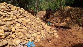 Colón, extracción de oro: MiAmbiente denuncia minería ilegal Colón, extracción de oro: MiAmbiente denuncia minería ilegal