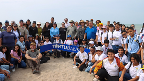 MiAmbiente: Inicia temporada de anidación de tortugas marinas