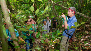 El Instituto Smithsonian de Investigaciones Tropicales abre la convocatoria de postulaciones al Programa de Verano.