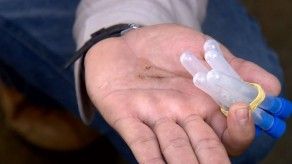 La Región Metropolitana de Salud implementa operativos contra el dengue