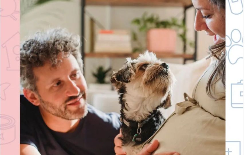 Beneficios de la convivencia de una mascota y una embarazada