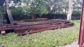 Material para la construcción de zarzos abandonado.