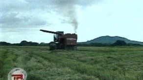 Compita celebra un año con Mega Feria