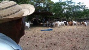 Autoridades preparan manual para enfrentar la sequía Autoridades preparan manual para enfrentar la sequía