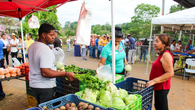 Agroferias del IMA en Panamá. Agroferias del IMA en Panamá.