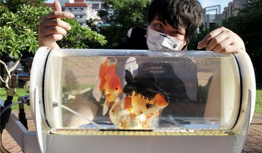 Un taiwanés crea un cochecito para que sus peces exploren otros mundos