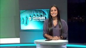 Glosas de Flor Mizrachi: 8 de septiembre de 2020