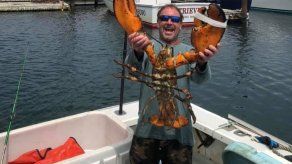 Una ballena jorobada intentó comerme, aseguró el pescador.