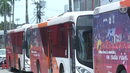 MiBus estrena buses temáticos. MiBus estrena buses temáticos.