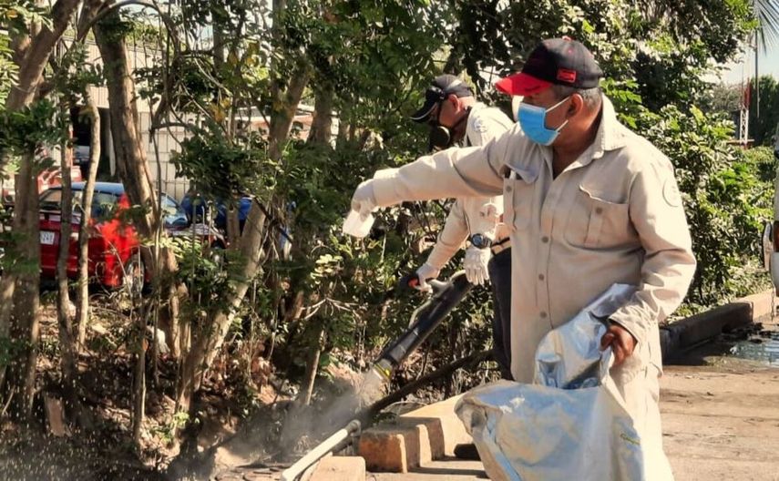 El Minsa le recomienda a la población que para evitar el contagio de dengue