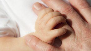 El proyecto establece que cuando la mujer esté embarazada y no esté laborando, el cónyuge gozará de fuero de paternidad﻿.