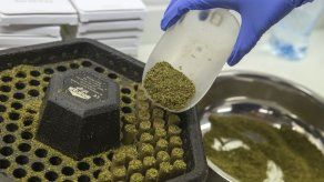 Proceso de paz en Colombia facilitó regular cannabis medicinal