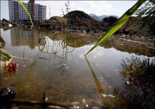 Número de muertos por dengue en Rio de Janeiro sube a 74