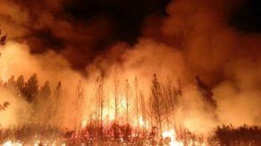 Incendio forestal en California