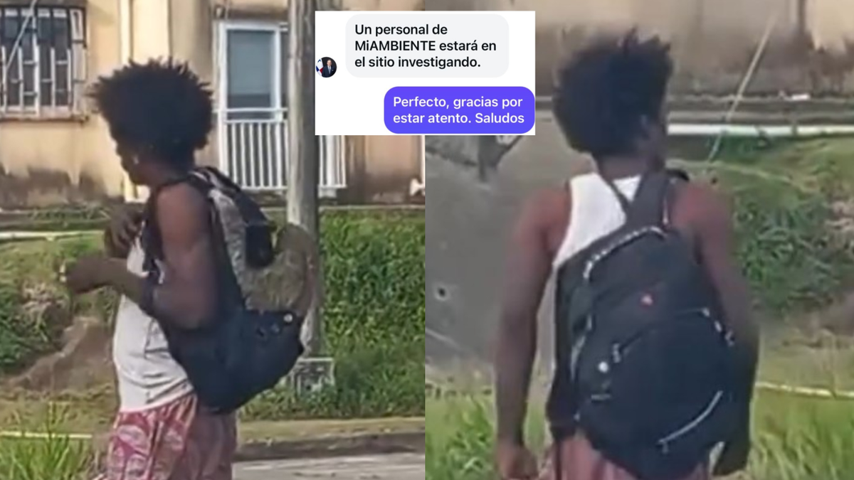 MiAmbiente investiga video de hombre que llevaba un perezoso dentro de una mochila. MiAmbiente investiga video de hombre que llevaba un perezoso dentro de una mochila.