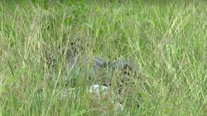 Cuerpo sin vida hayado en Tinajitas