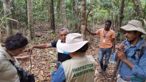 Elaboran propuesta para categorizar a la Laguna de Matusagaratí como área protegida