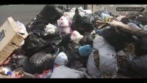 Carnicerías de S. Miguelito incurren en mala disposición de desperdicios