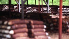 Comienza la destrucción de armas químicas de EEUU abandonadas en Panamá