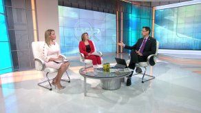 Abogada Polo: sistema de pre-citas de Migración es un censo para la rebusca