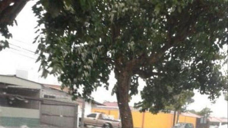 Afectaciones por fuerte lluvia y vientos en Panamá Centro y Este