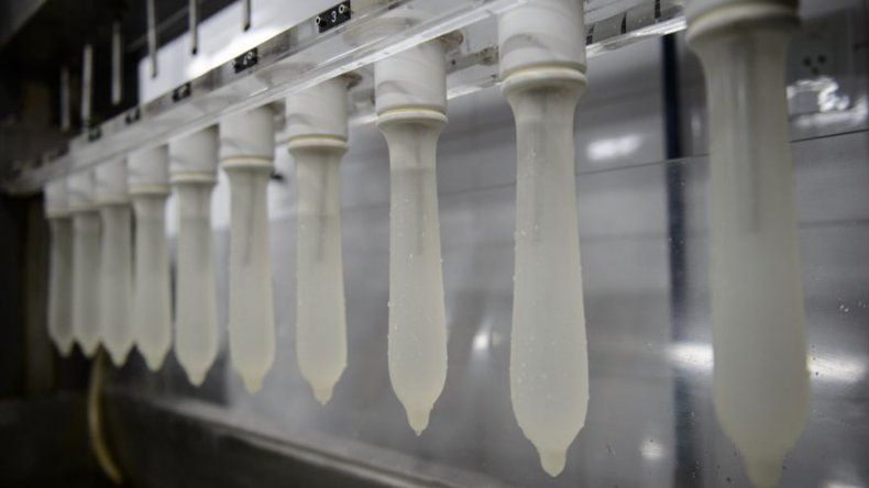 Condones ultrafinos y resistentes gracias a una hierba australiana