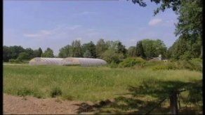 Alemania confirma que germinados causaron brote de E. coli