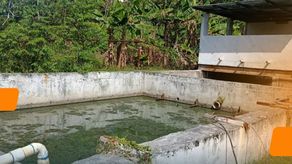 Inspección del MINSA tras desborde de aguas residuales en Panamá Oeste.