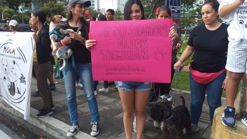 Realizan manifestación contra el maltrato animal en Panamá