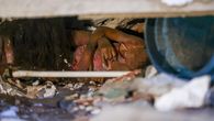 No te vayas, no me dejes terremoto en Venezuela No te vayas, no me dejes terremoto en Venezuela