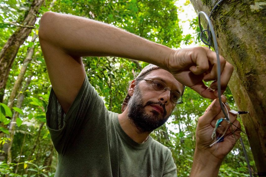 Este sistema fue instalado en 2012 por Matteo Detto como parte de la red ForestGEO. Este sistema fue instalado en 2012 por Matteo Detto como parte de la red ForestGEO.