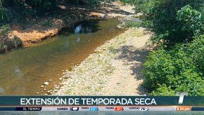 Comparten recomendaciones tras confirmarse formación del fenómeno de El Niño Comparten recomendaciones tras confirmarse formación del fenómeno de El Niño