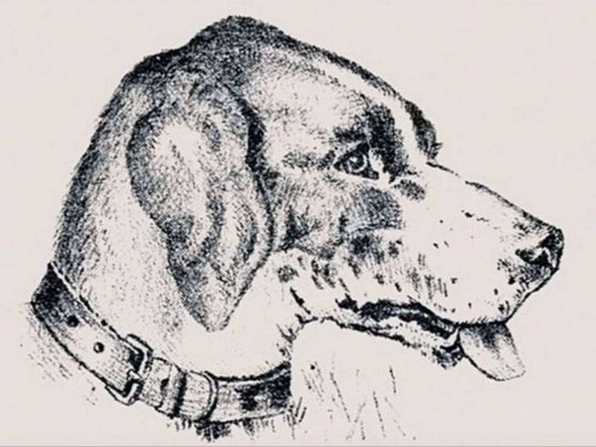 Acertijo visual - ¿Encontrarás el rosto oculto en el tiempo indicado? Acertijo visual - ¿Encontrarás el rosto oculto en el tiempo indicado?