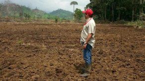 Declaran situación de emergencia en varias regiones para agilizar cosecha de agua Declaran situación de emergencia en varias regiones para agilizar cosecha de agua