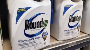Herbicida Roundup de Bayer.