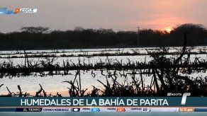 Presentan plan para conservación de humedales de la Bahía de Parita