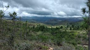 Las áreas protegidas se crearon para proteger los valores ecológicos que están en las mismas.