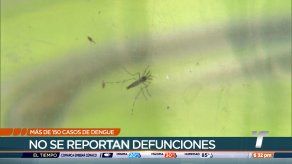Panamá registra más de 150 casos de dengue este año