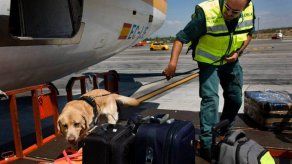 Detenido un colombiano por intentar volar con 68 aves ocultas en dos maletas