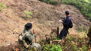 MiAmbiente en la Reserva Forestal de El Montoso MiAmbiente en la Reserva Forestal de El Montoso