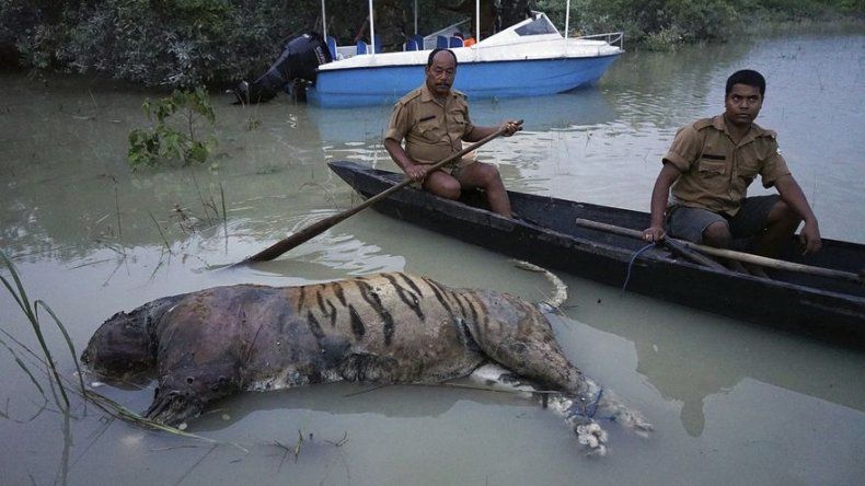 Inundaciones del monzón arrasan una reserva natural en India