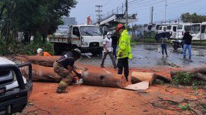Personal de Sinaproc realiza la remoción de árboles caídos producto de las fuertes ráfagas de vientos. Personal de Sinaproc realiza la remoción de árboles caídos producto de las fuertes ráfagas de vientos.