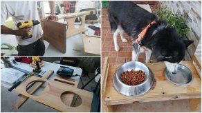 ¿Cómo hacer un mueble de madera para colocar la comida de tu mascota?