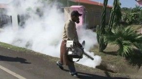 Confirman segundo caso autóctono de chikungunya