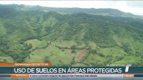 Organizaciones ambientales presentan demanda contra Decreto de uso de suelo en áreas protegidas