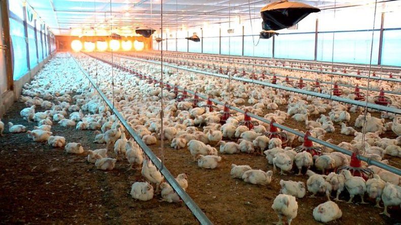 Gobierno espera exportar primeros productos a China a partir de agosto