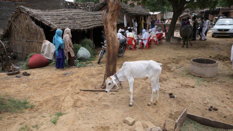 Linchamientos, un problema en auge en la India