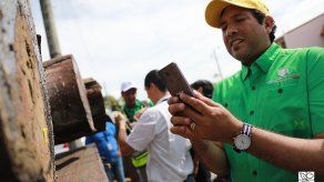 Panamá espera reducir un 90 % la tala ilegal de madera con sistema de control